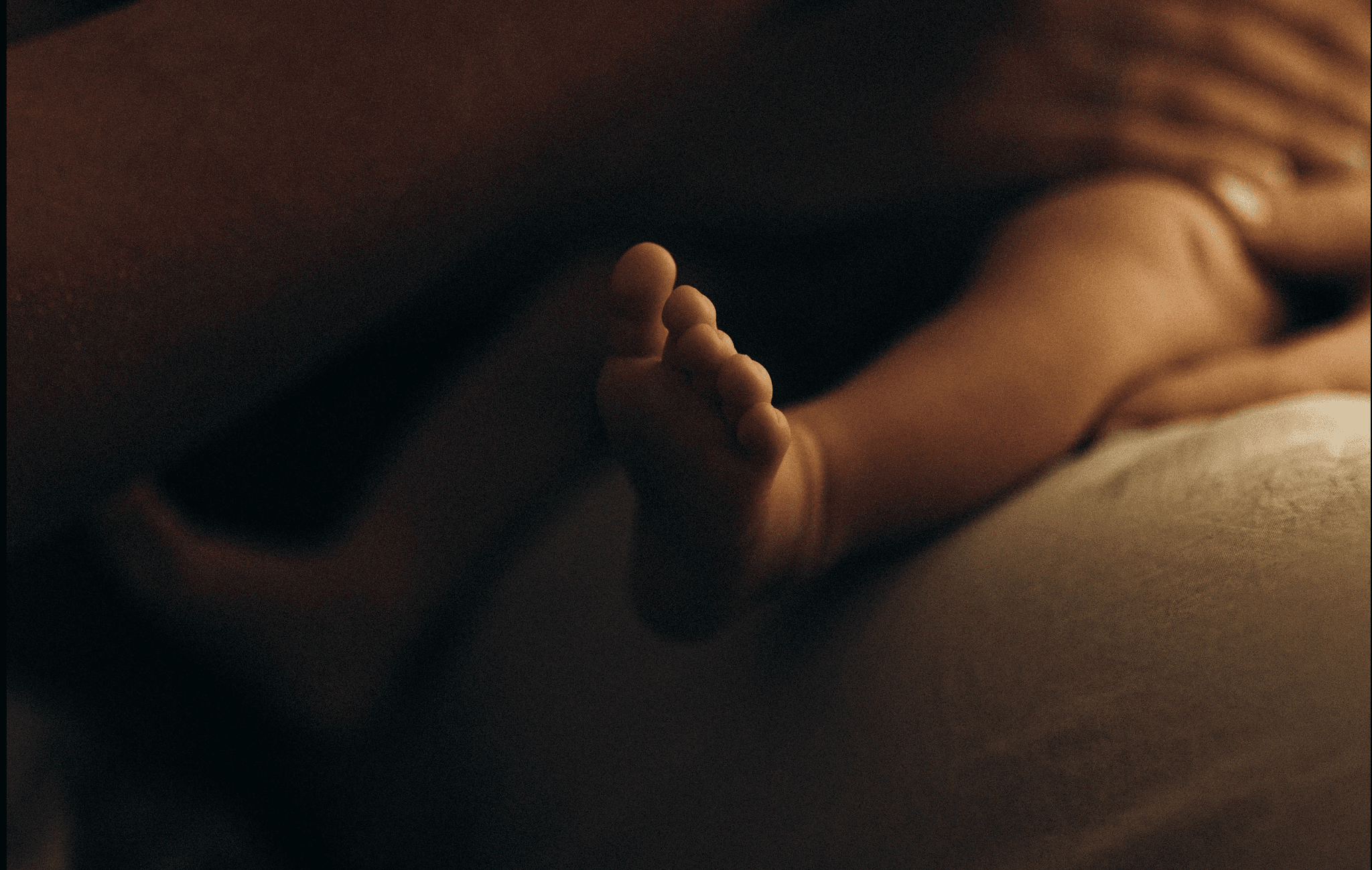 Family portrait part 2