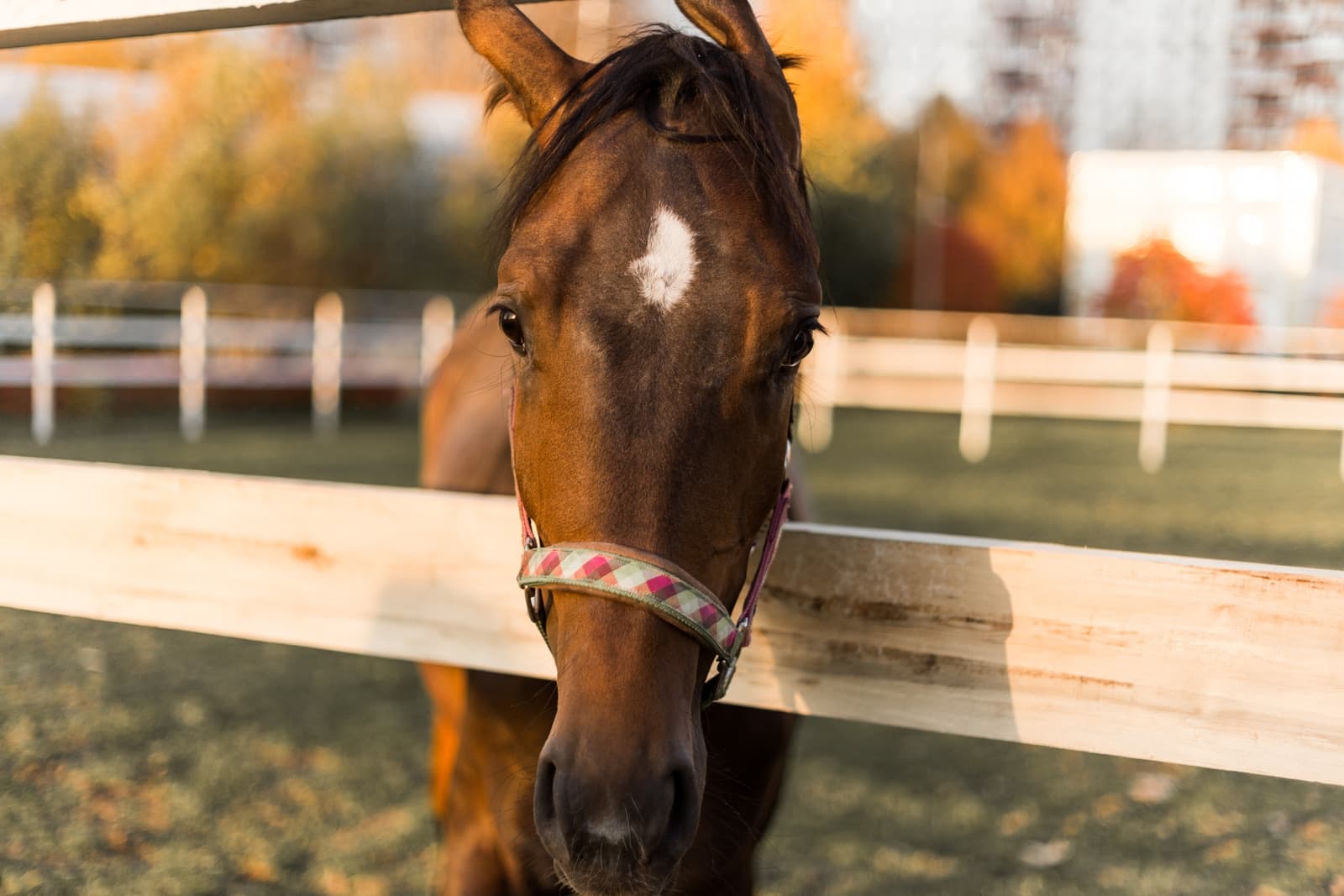 Family portrait part 2