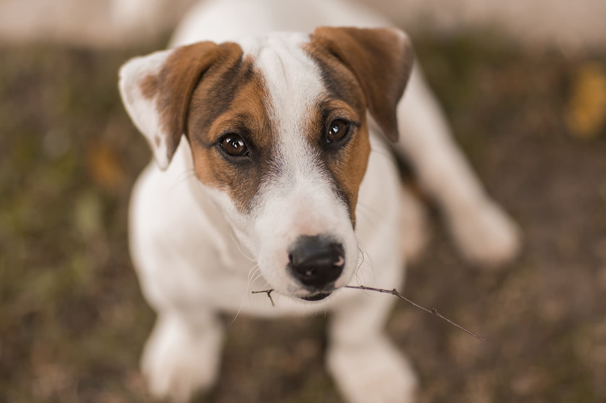 Family portrait part 1