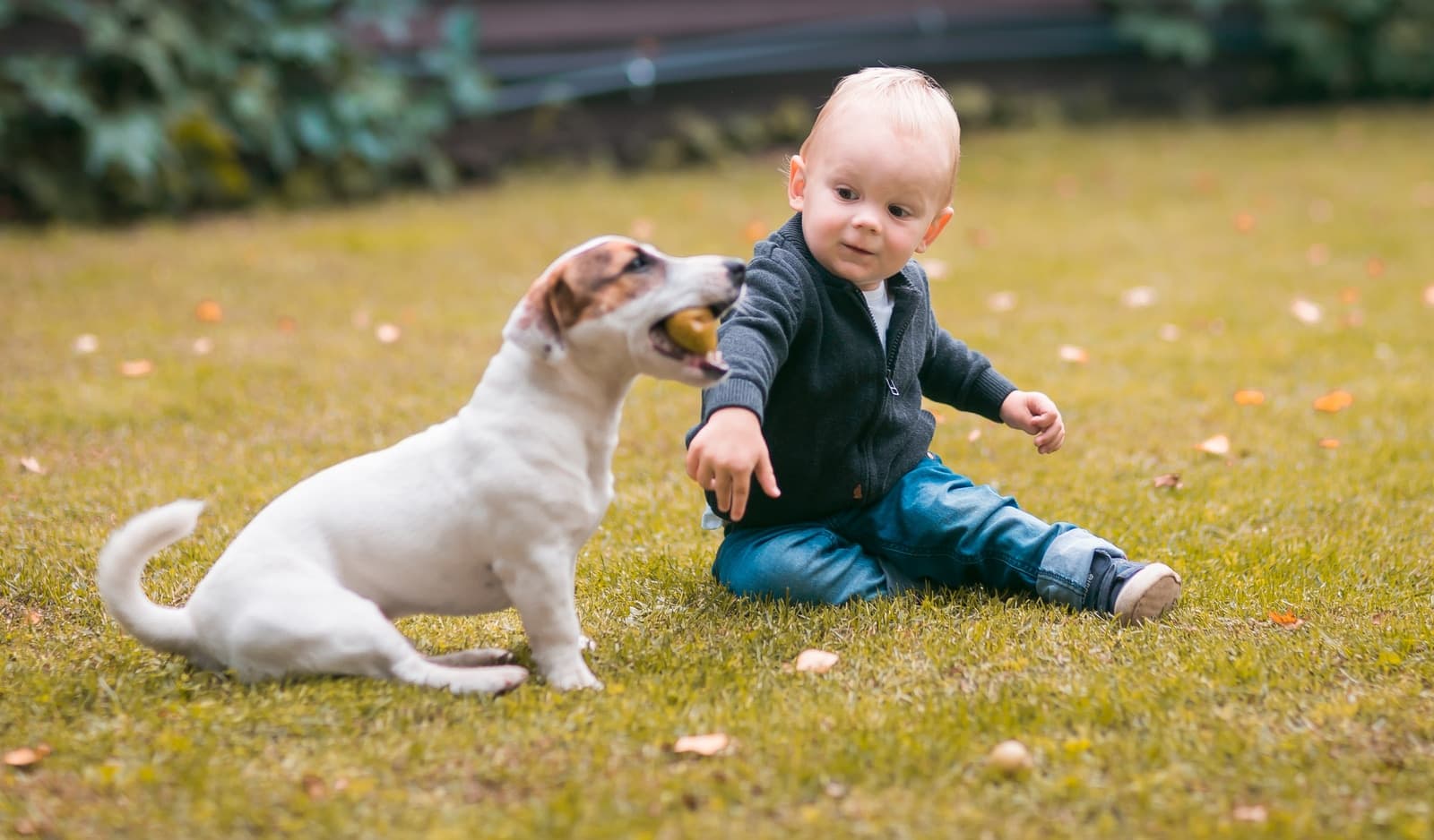 Family portrait part 1