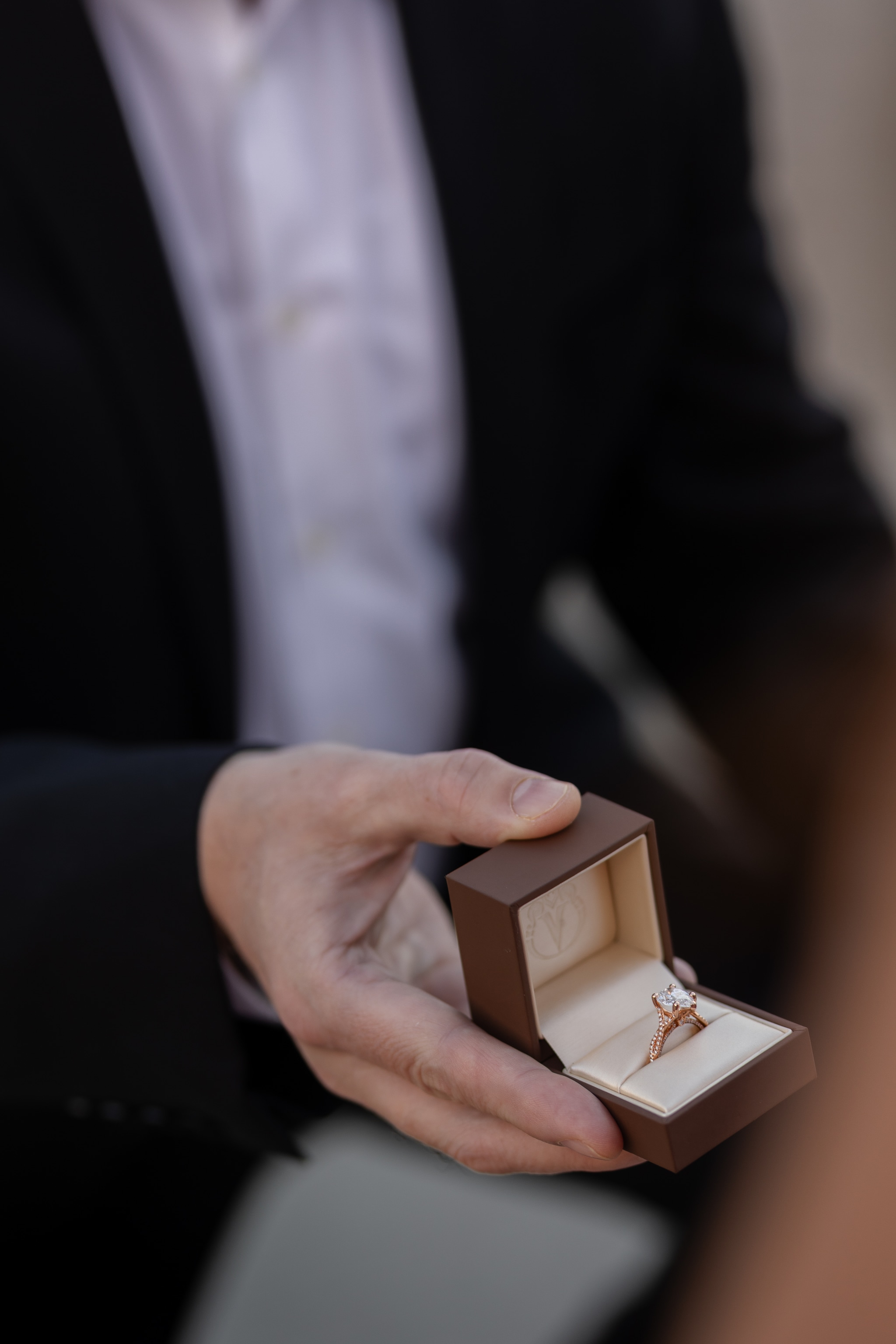 Alan and Anna's proposal