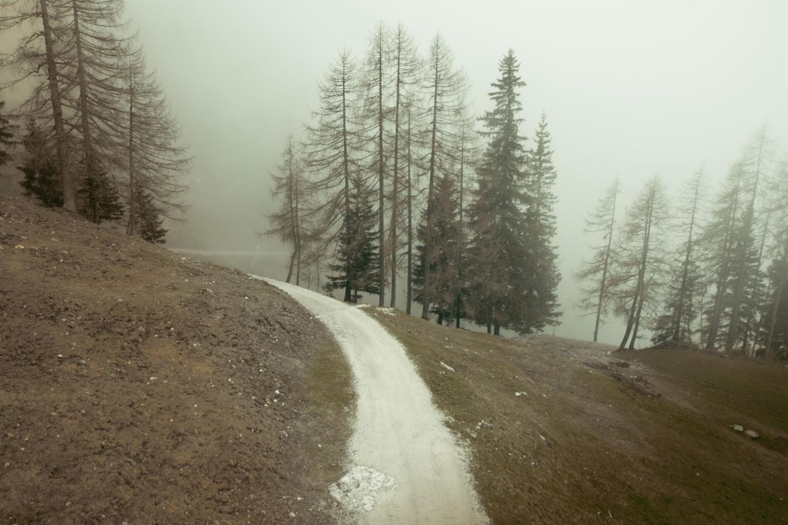 Nature Bavaria