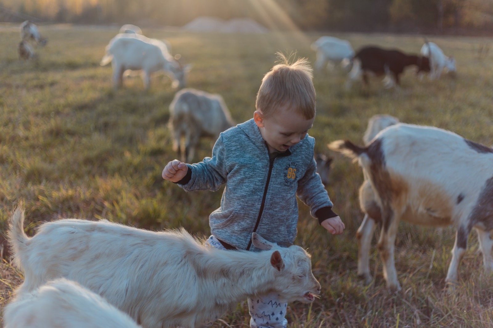 Family moment part 2