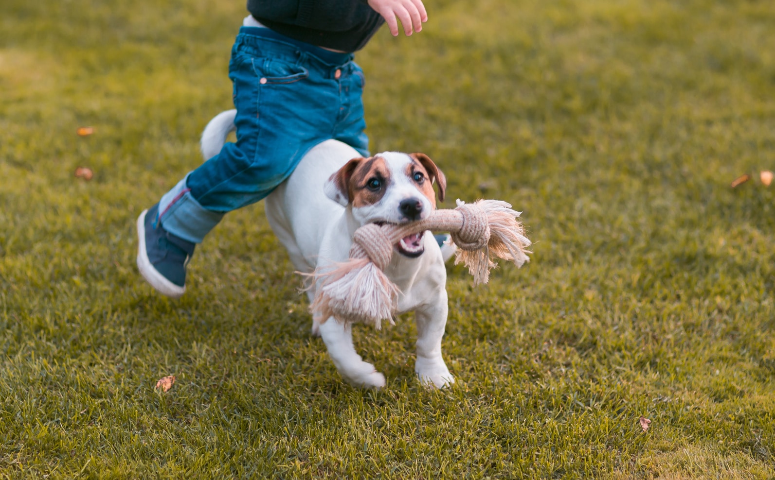 Family portrait part 2